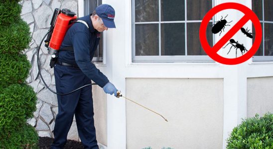 Ulubey Kemirgen İlaçlama böcek ilaçlama ve haşere kontrolü — ilaclama-tr.com